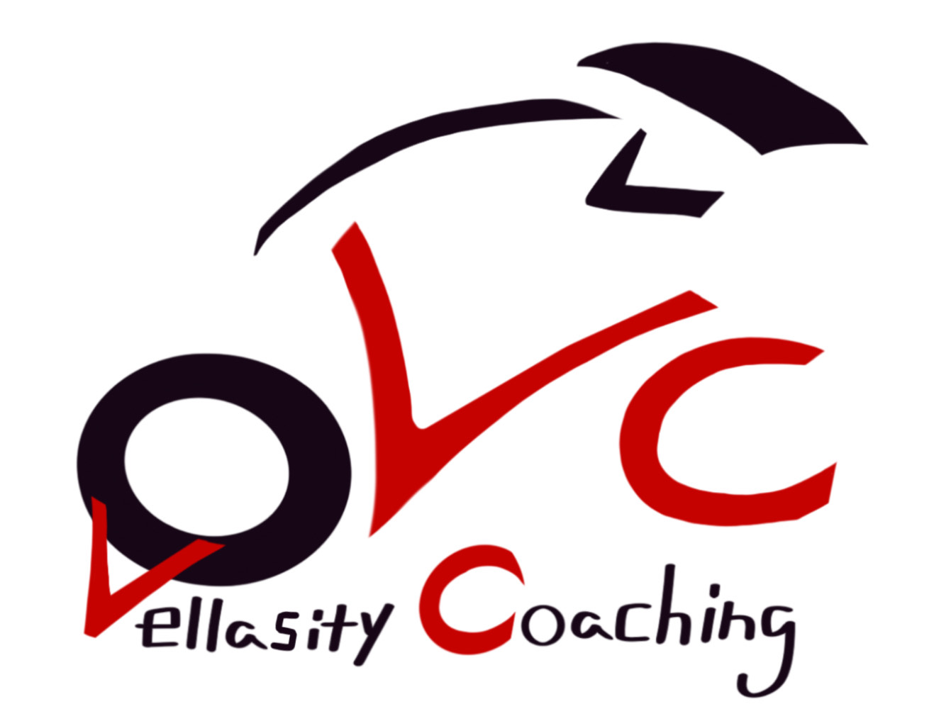 Vellasity Coaching Logo
